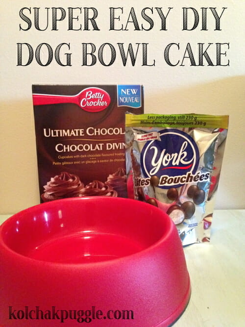 dog-bowl-cake