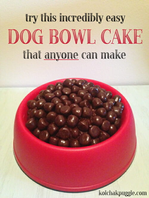easy-dog-bowl-cake