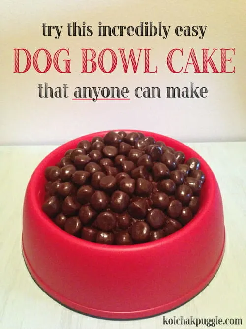 Dog shop bowl cake