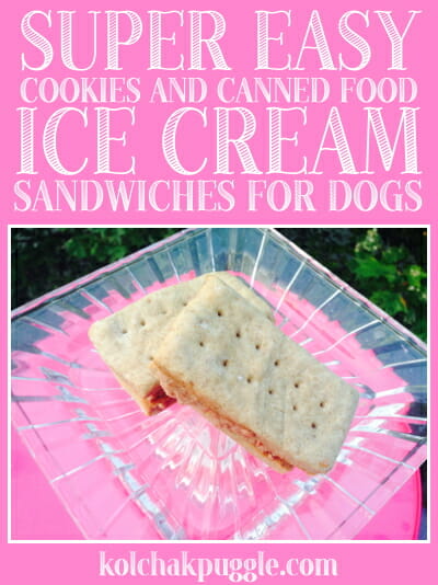 ice cream sandwiches for dogs