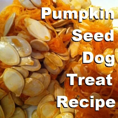 pumpkin seed dog treat recipe