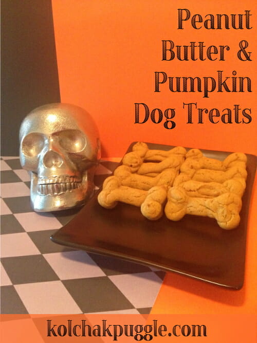 peanut-butter-pumpkin-spice-dog-treat-recipe