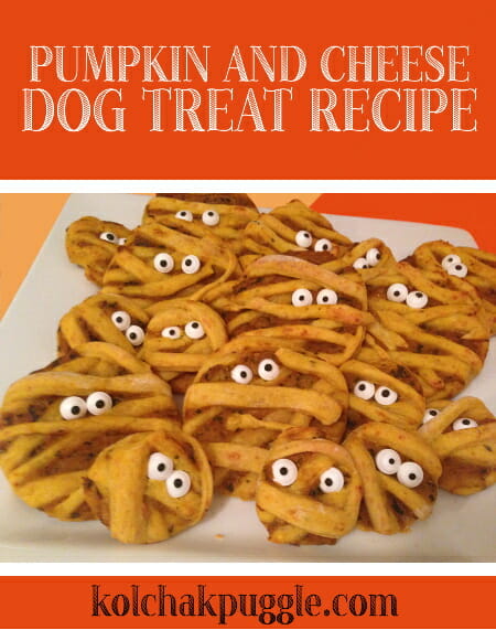 pumpkin cheese dog treat recipe