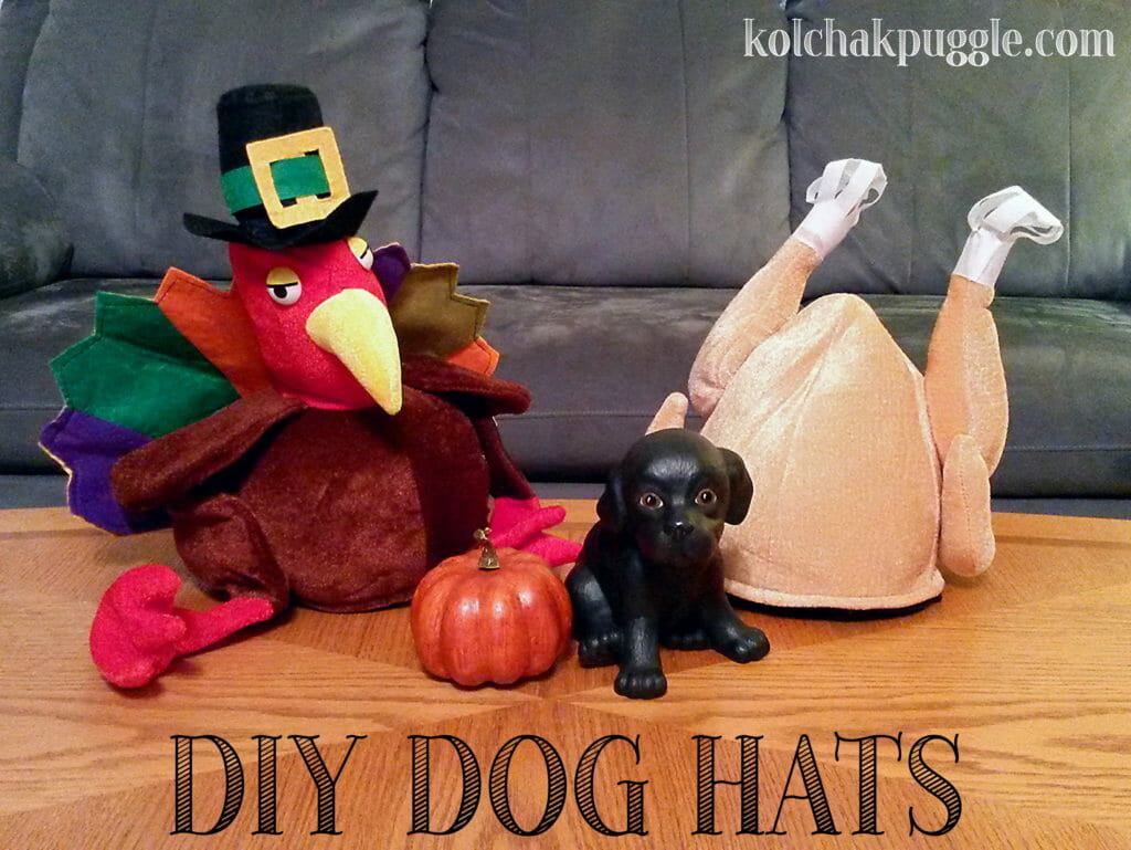 Easy, DIY Holiday Hats for Dogs