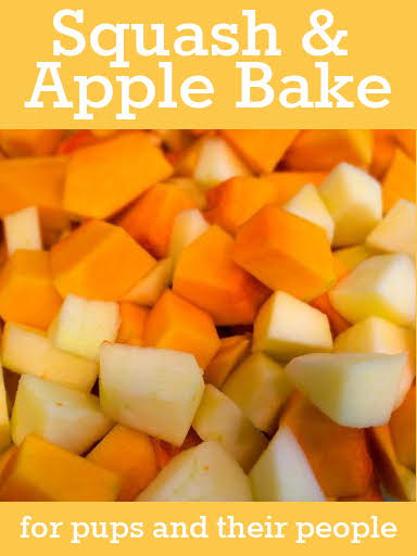 Make a treat you and your dog can share with this dog friendly squash and apple bake