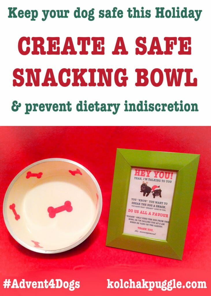 safe snacking dog bowl