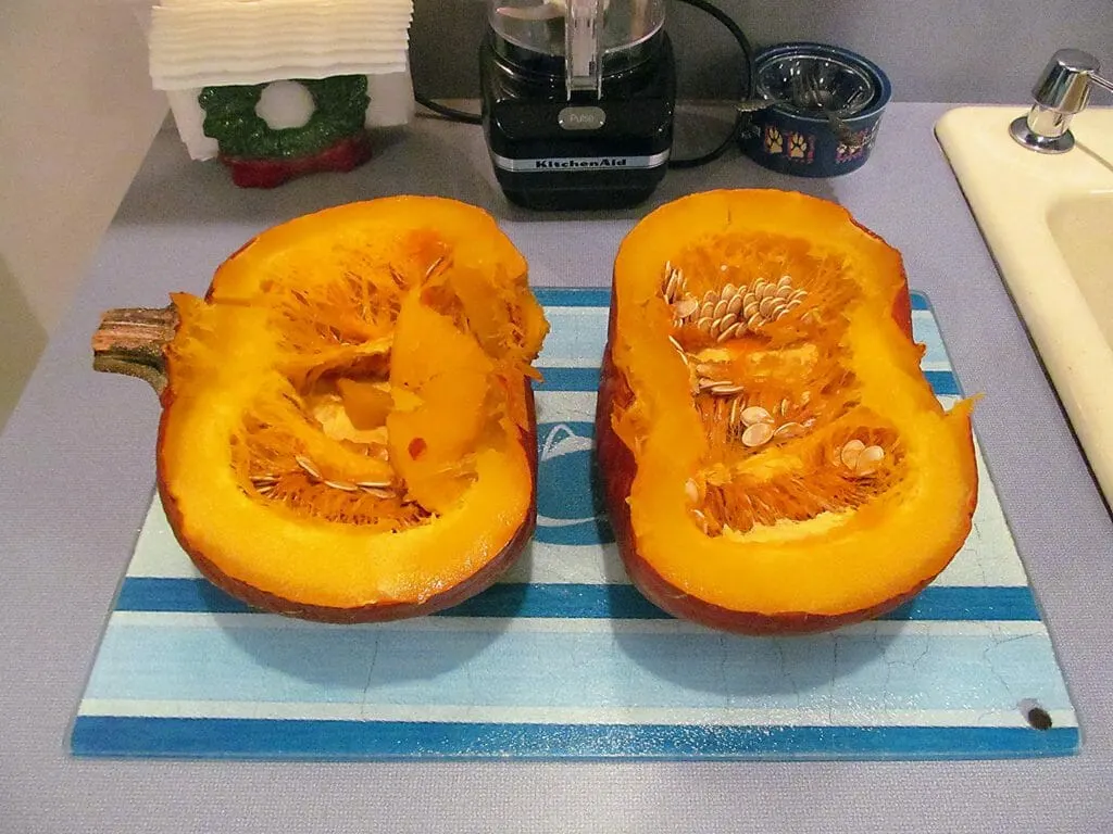 9. December 2014 Pumpkin Puree 006