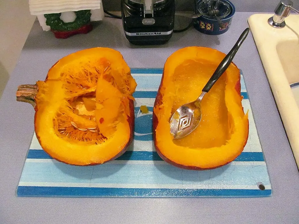 9. December 2014 Pumpkin Puree 007