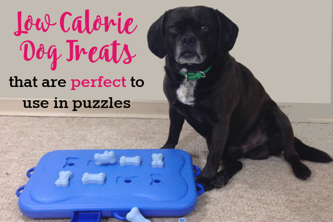 Five Low Calorie Dog Treats That Are Perfect to Use in Food Puzzles & Toys