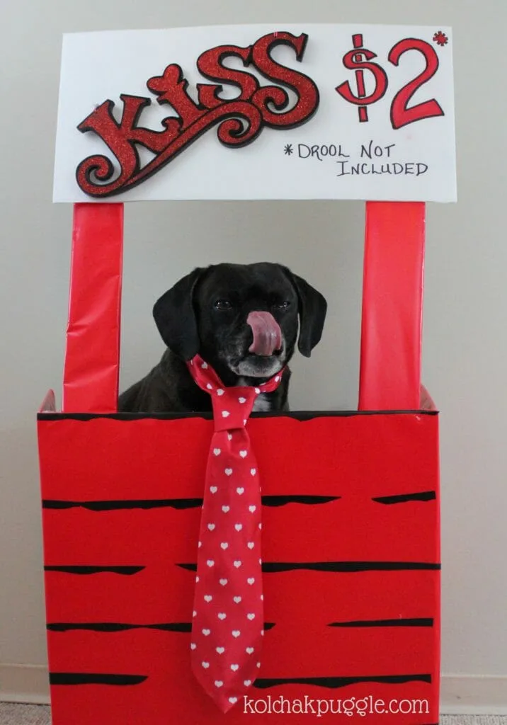 Cheap and easy Valentine's Day Dog Photos Kissing Booth