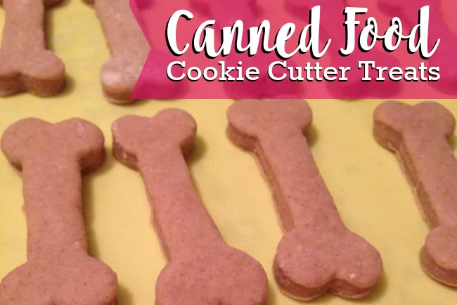 Cookie cutter clearance for dog treats