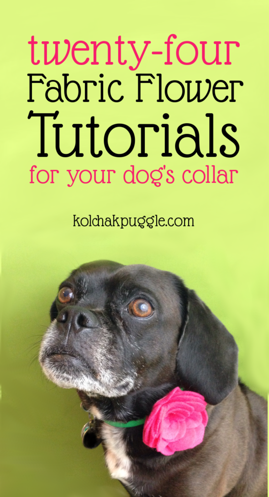 DIY Dog Collar Flower Tutorial