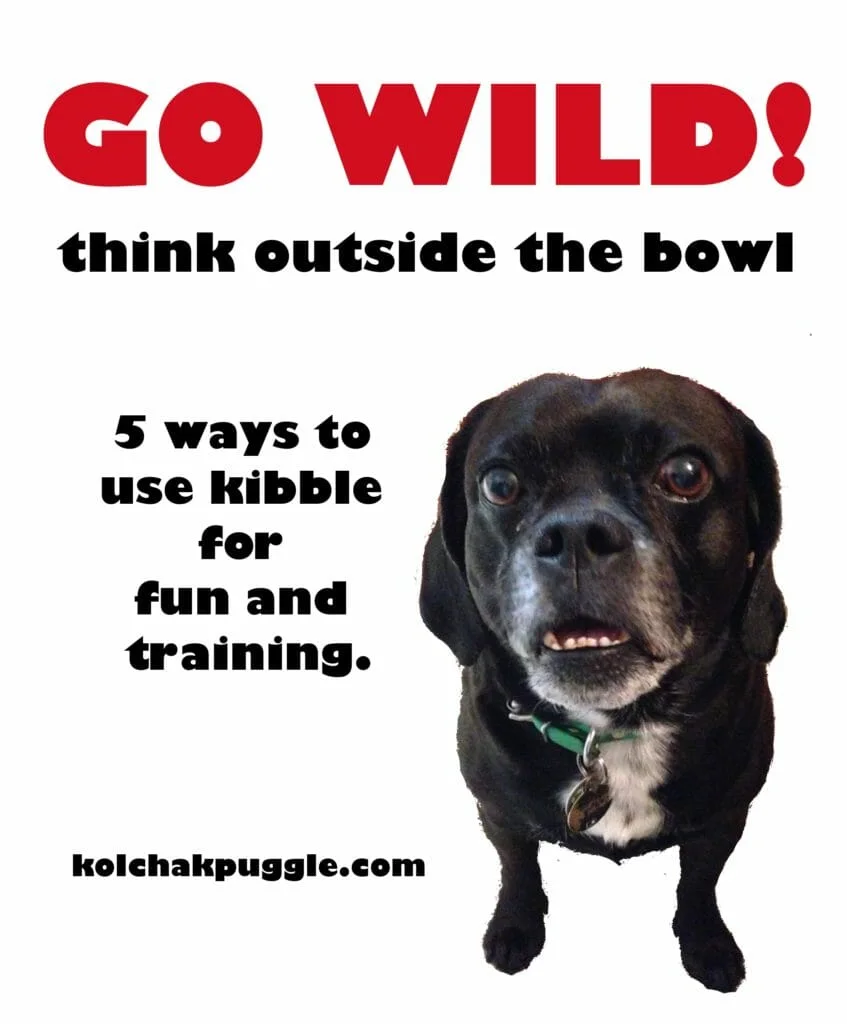 Life is busy, the winter is long and it can be hard to keep dogs occupied, stimulated and happy. One way I enrich my dogs lives is by using high quality kibble, not as a meal, but as a reward for playing fun games and learning new tricks. #Sponsored by @Wild Calling & #TheArtofNutrition