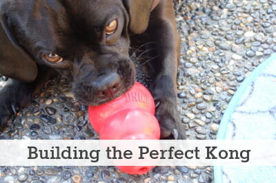 Building a Koly-Worthy Kong