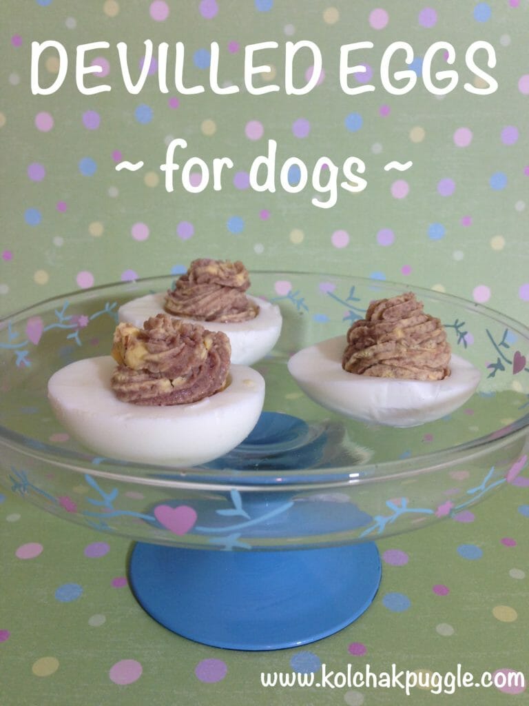 devilled eggs for dogs