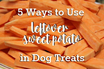 5 Ways to Use Leftover Sweet Potato in Dog Treats