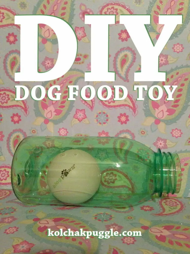 DIY Dog Food Toy