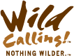 WildCallingLogoSignature92