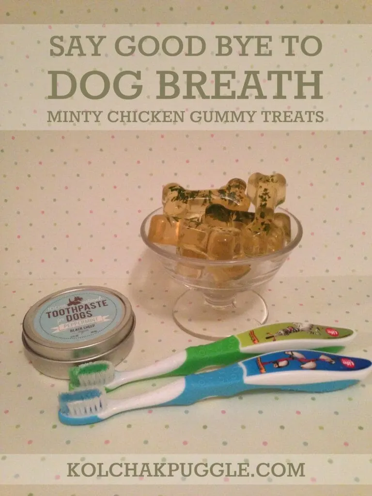 Minty Chicken Gummy Dog Treats P