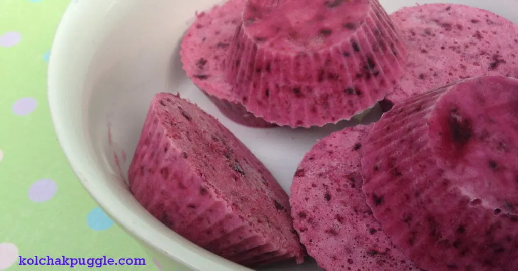 blueberry coconut frozen dog treat recipe FB