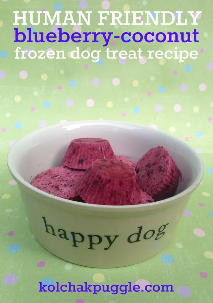 blueberry coconut frozen dog treat recipe