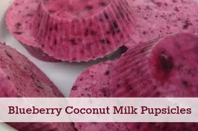 close up of berry and coconut milk frozen dog treats