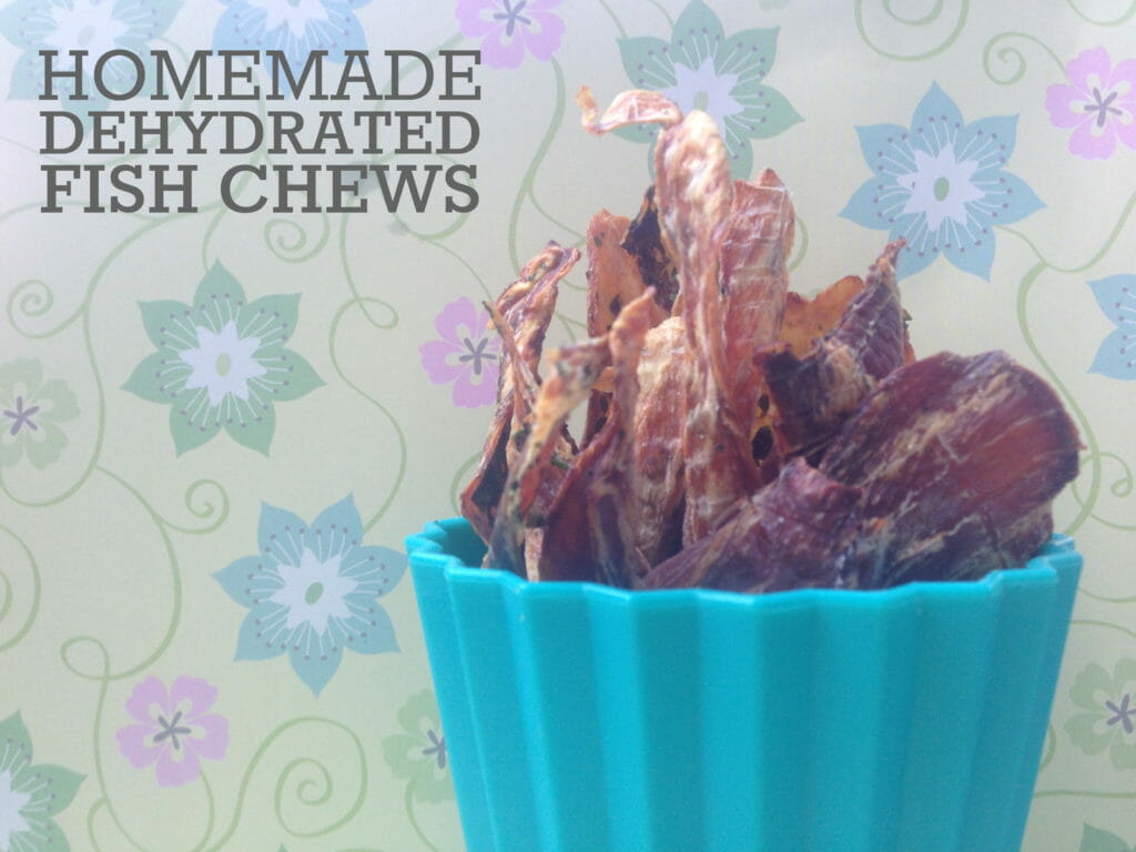Homemade Dehydrated Fish Chew Dog Treat Recipe