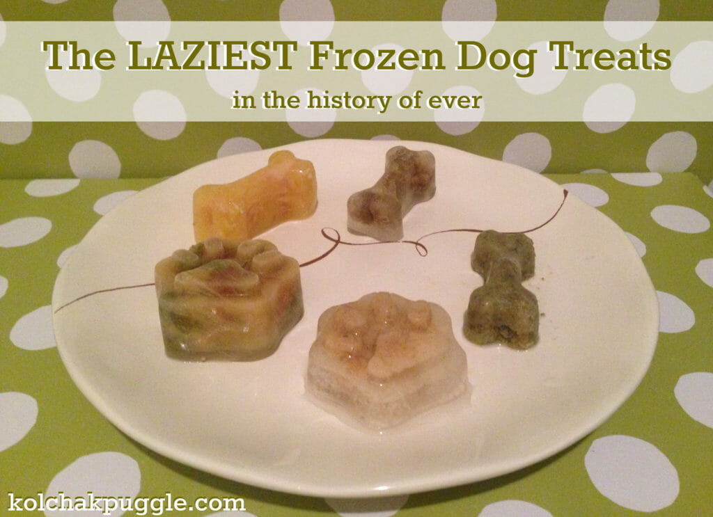 lazy frozen dog treats