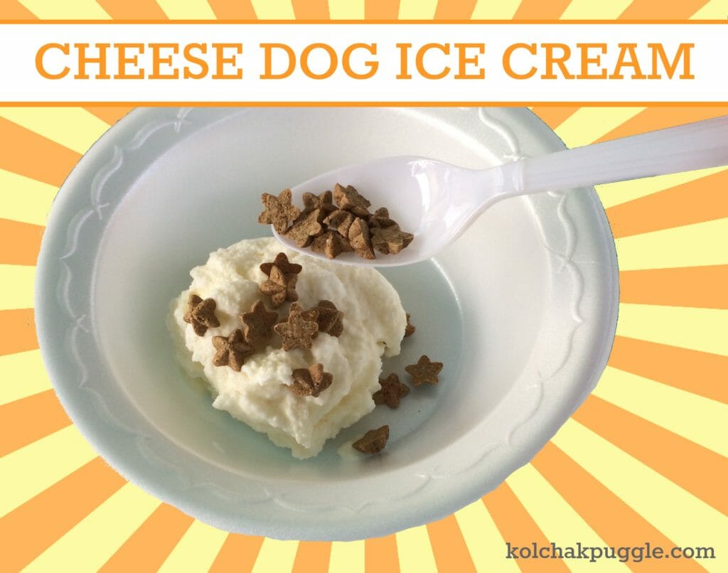 a bowl of cheese ice cream frozen dog treats with tiny dog cookie sprinkles