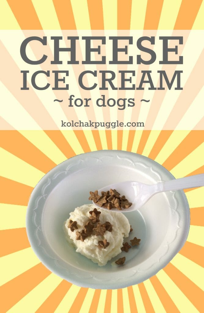 Cheese Dog Ice Cream Recipe