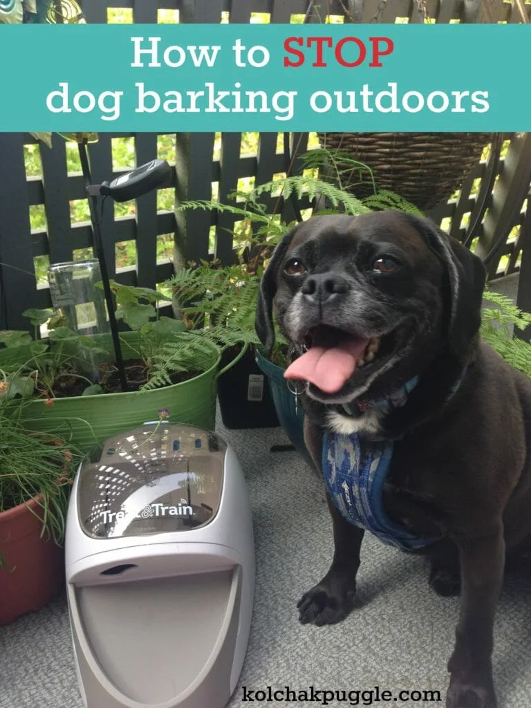 How to stop dog barking outdoors.