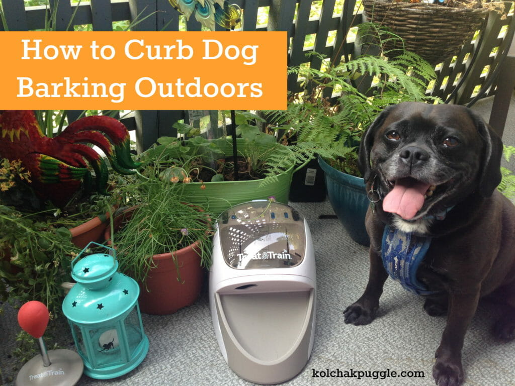 How to Stop Dogs Barking Outside - Kol 