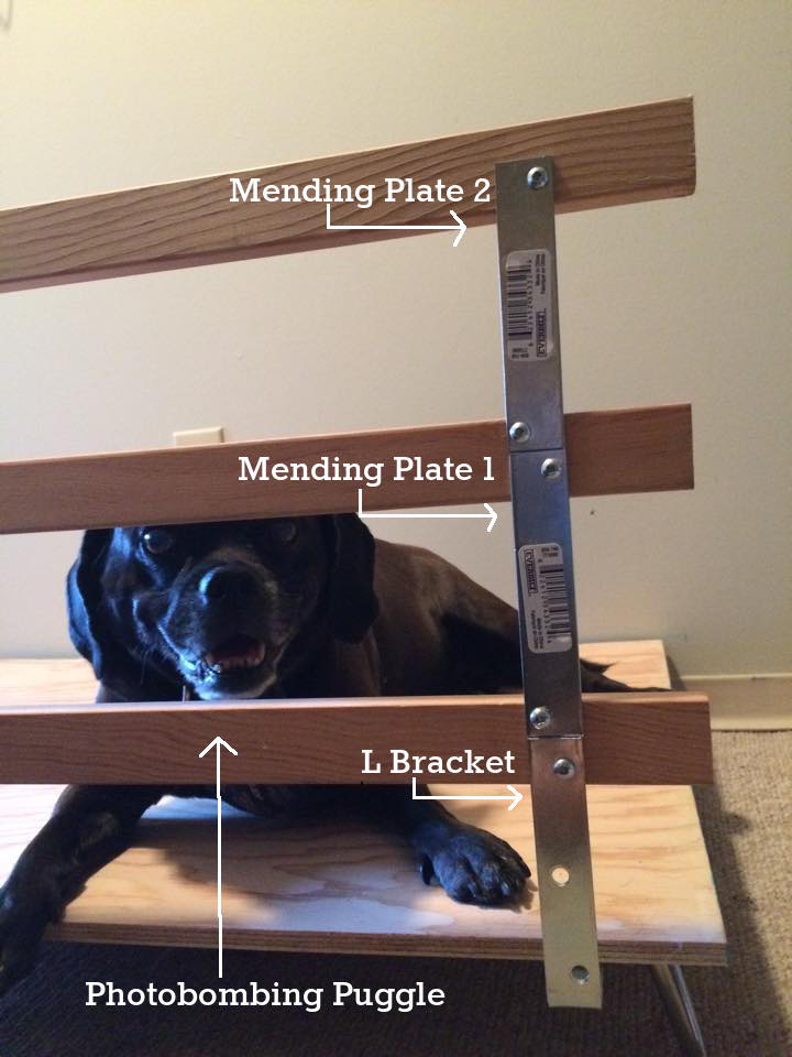 wood dog bed frame tutorial