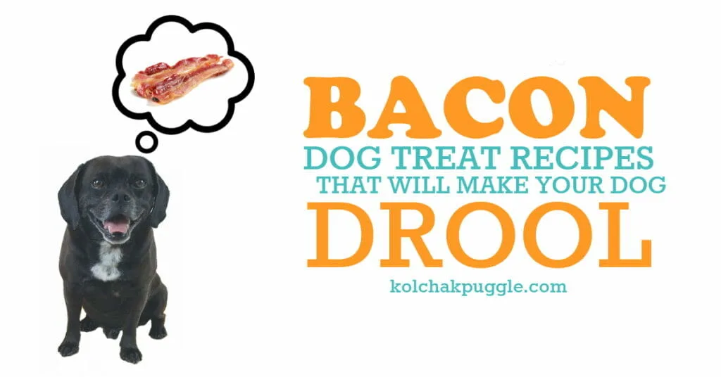Bacon Dog Treat Recipes