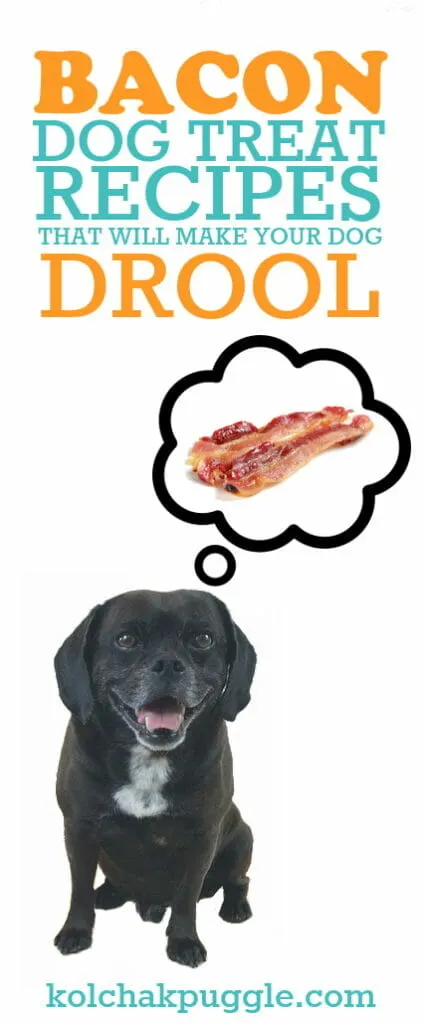 bacon dog treat recipes