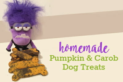 Marbled Pumpkin & Carob Dog Treat Recipe