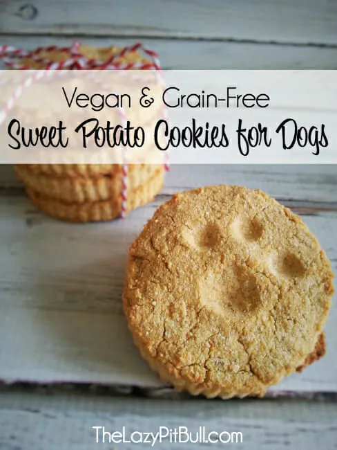 Vegan-and-Grain-Free-Sweet-Potato-Cookies-for-Dogs