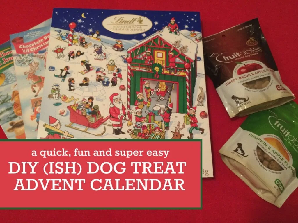 dog treat advent calendar