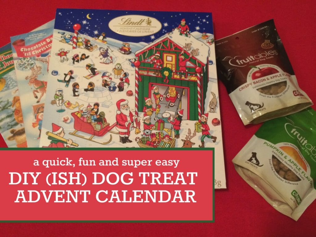 Make A Dog Treat Advent Calendar (the Super Lazy Way)