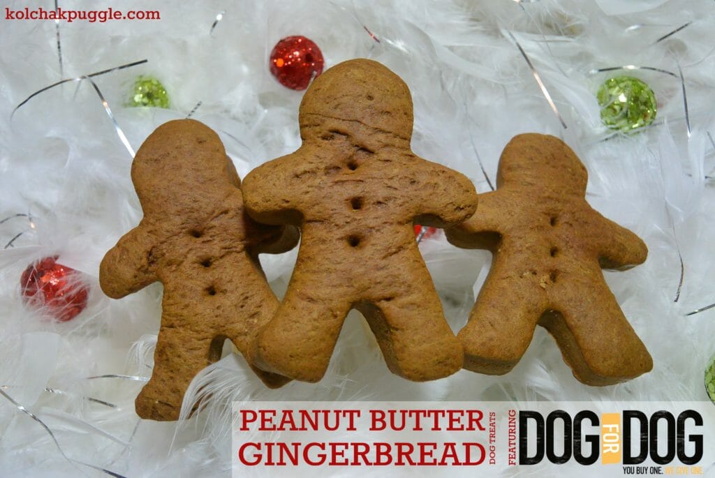 DOG for DOG DOGSBUTTER Peanut butter Gingerbread Dog Treat Recipe 