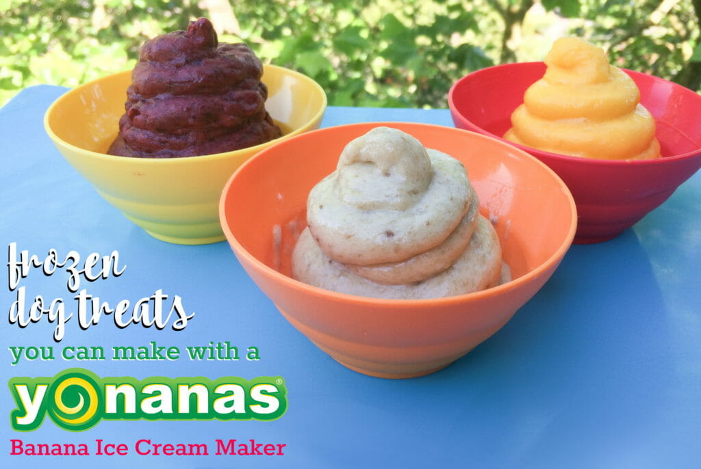 bowls of berry, banana and mango frozen dog treats made with a yonanas machine