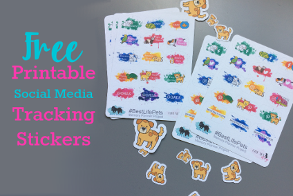 8 Blog & Social Media Stats You Should Be Tracking (+ Free Printable Planner Stickers)