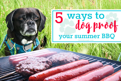 5 Ways to Dog Proof Your Summer BBQ