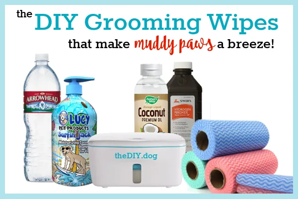 The supplies to make DIY Dog Grooming Wipes (Bottled water, dog shampoo, coconut oil, hydrogen peroxide and towels) arranged on a white background