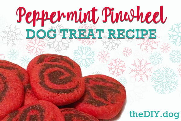 diy dog treat recipe - christmas