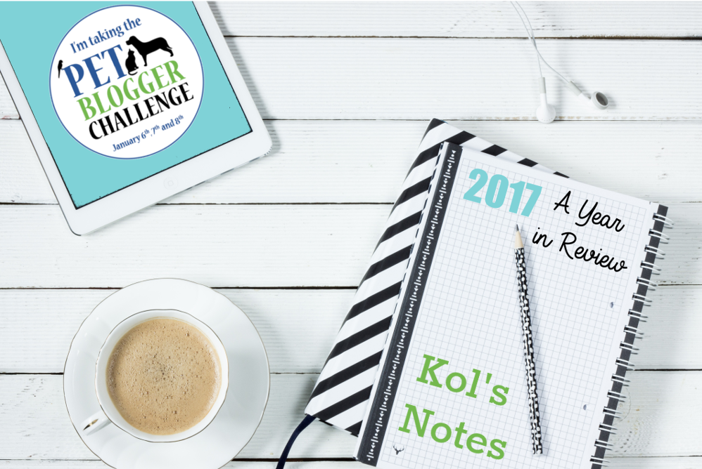 kols notes- pet blogger challenge