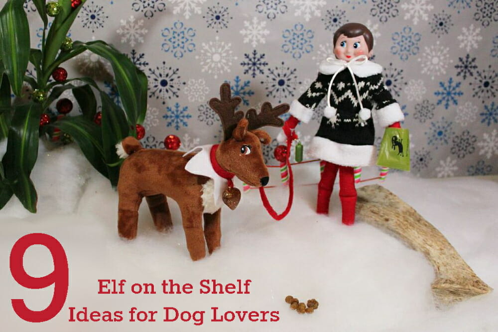 diy dog - elf on shelf ideas