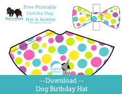 diy dog blog - dog birthday crafts