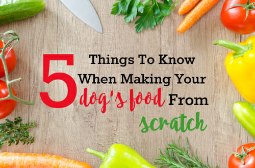 Five Things To Know When Making Your Dog’s Food From Scratch