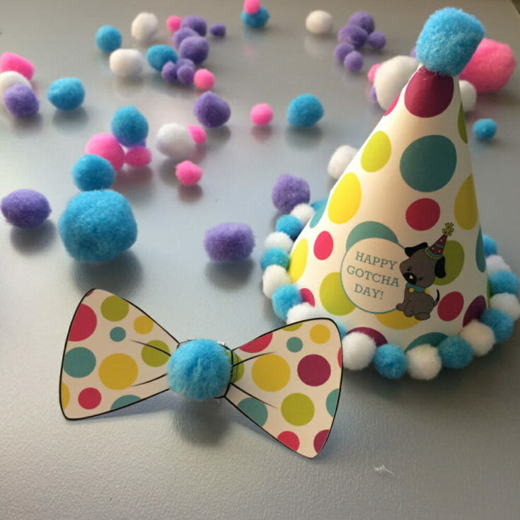 How To Make A Birthday Hat For A Dog